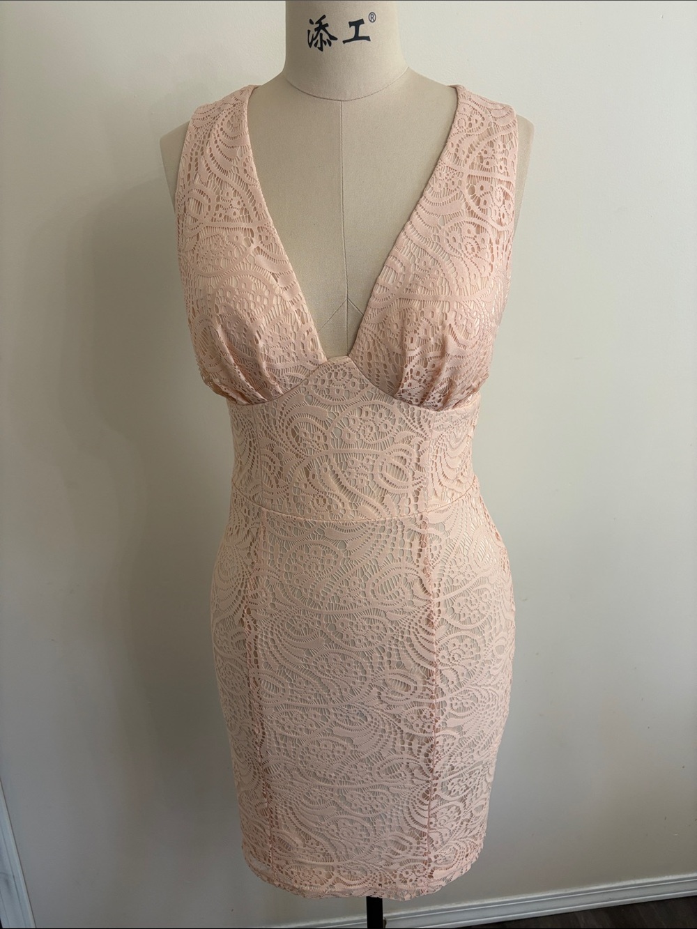 bebe Blush Pink Lace V-Neck Bodycon Mini Dress